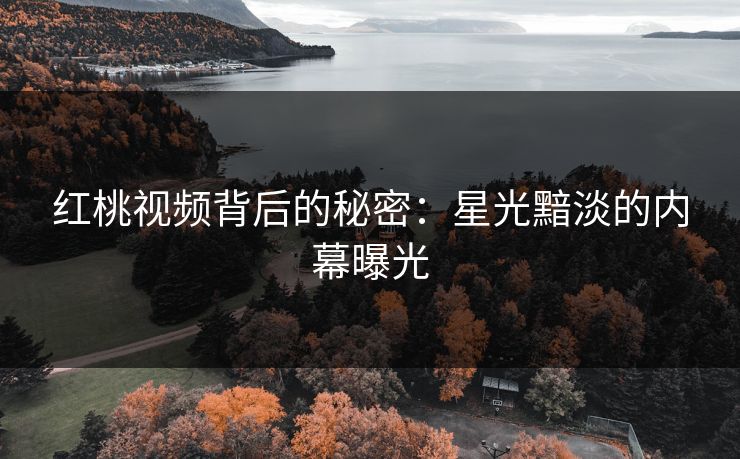 红桃视频背后的秘密：星光黯淡的内幕曝光
