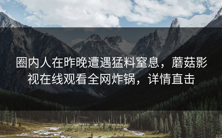 圈内人在昨晚遭遇猛料窒息，蘑菇影视在线观看全网炸锅，详情直击